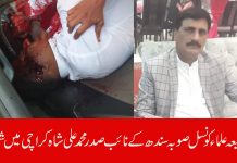 شیعہ علماء کونسل صوبہ سندھ کے نائب صدر محمد علی شاہ کراچی میں شہید