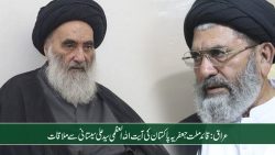 قائد ملت جعفریہ کی آیت اللہ العظمی سید علی سیستانی سے ملاقات