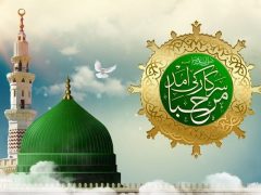 عید میلاد النبیؐ پر ملک بھر میں چراغاں، علامہ ساجد نقوی نقوی کی اپیل ہفتہ وحدت منایا جائیگا