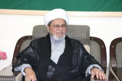 تمام طبقــات اور ادارے آئیـــن کے مطابق انسانـــی حقـــوق کا خیــال رکھیـــں شیعہ علماء کونسل پاکستان