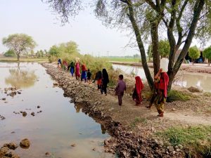 قائد ملت جعفریہ کی سرپرستی میں فراہمی آب کا منصوبہ جاری