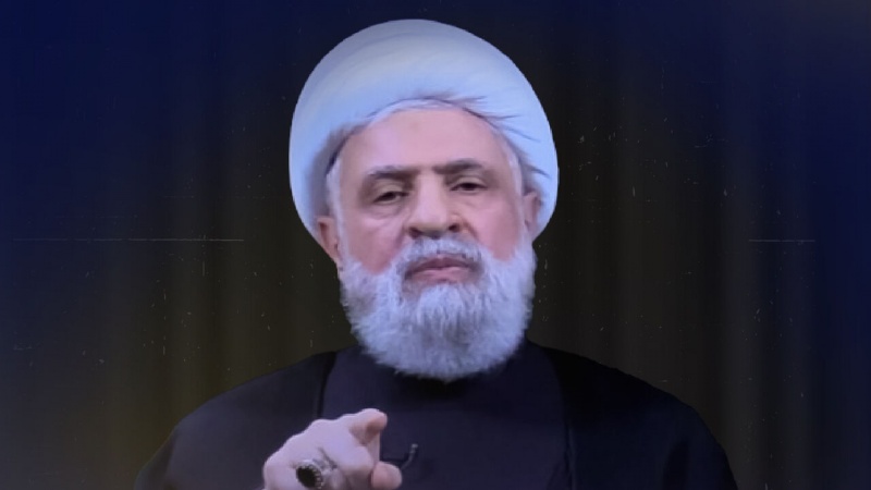 مزاحمتی فورس ایک طولانی جنگ کے لئے آمادہ ہے شیخ نعیم قاسم