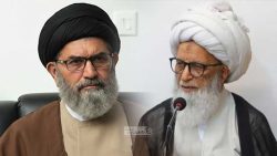 آیت اللہ العظمیٰ بشیر حسین نجفی کا علامہ سید ساجد علی نقوی کی اہلیہ کے انتقال پر تعزیتی پیغام