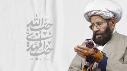 Image Alt Text: آیت اللہ محمد حسین نجفی ڈھکو کی سوانح حیات